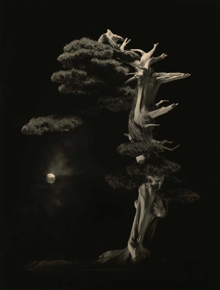 山本昌男「手中一滴」展 | K*MoPA｜清里フォトアートミュージアム 