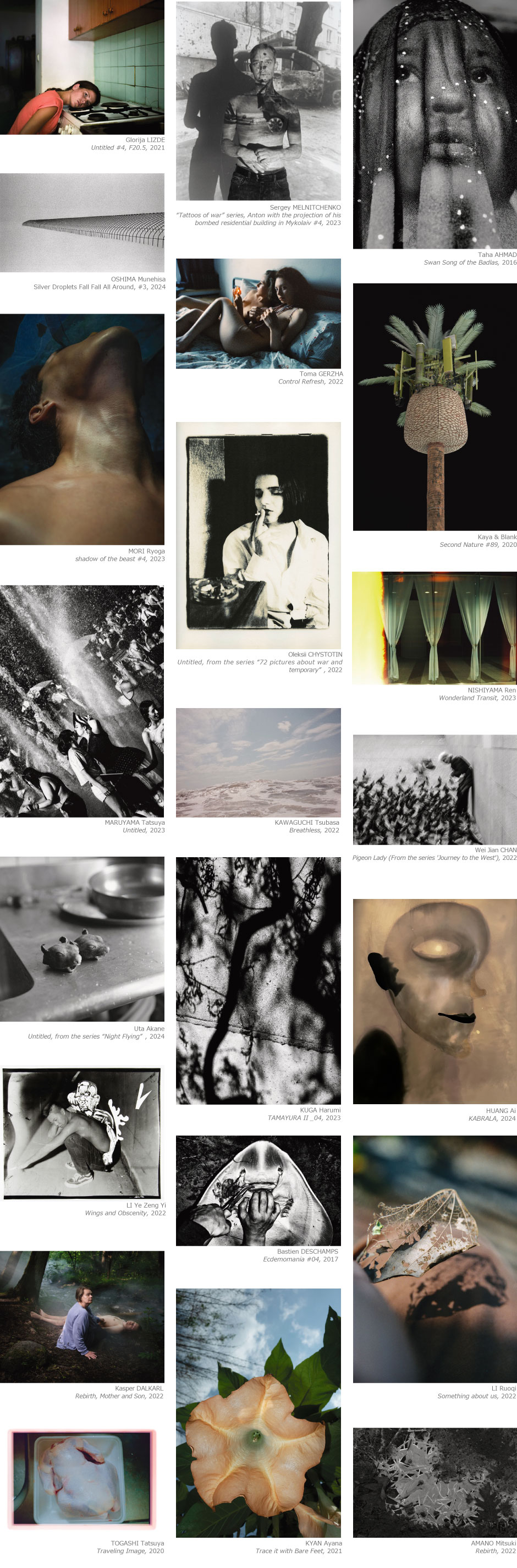 Past Purchases for YP